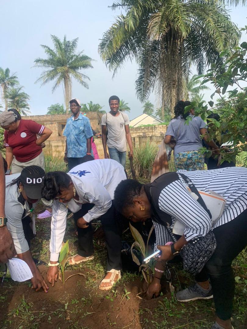 Practical Classes now available